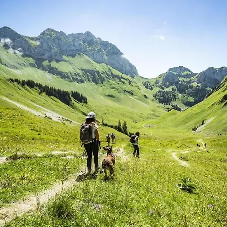 Joran Jr7 Sunny & View 4 Pers Apartment Chatel